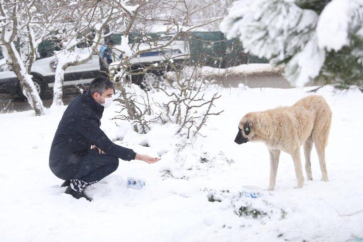 Sokak hayvanları karlı havada da unutulmadı G3