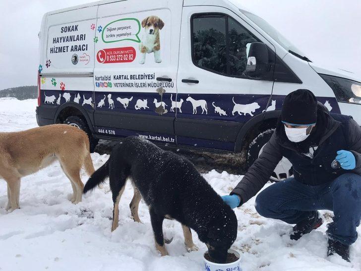 Sokak hayvanları karlı havada da unutulmadı G4