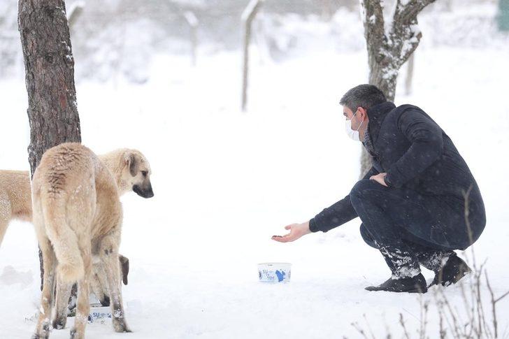 Sokak hayvanları karlı havada da unutulmadı G5