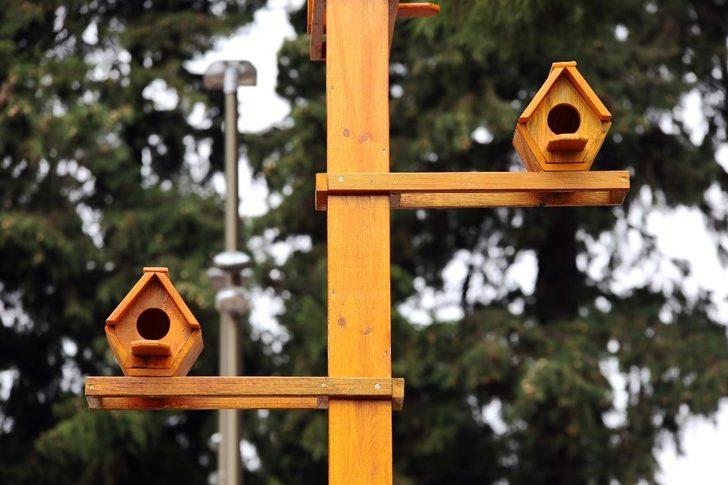 Kepez’den kuşlara için özel yuva G4