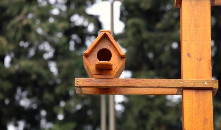 Kepez’den kuşlara için özel yuva G5