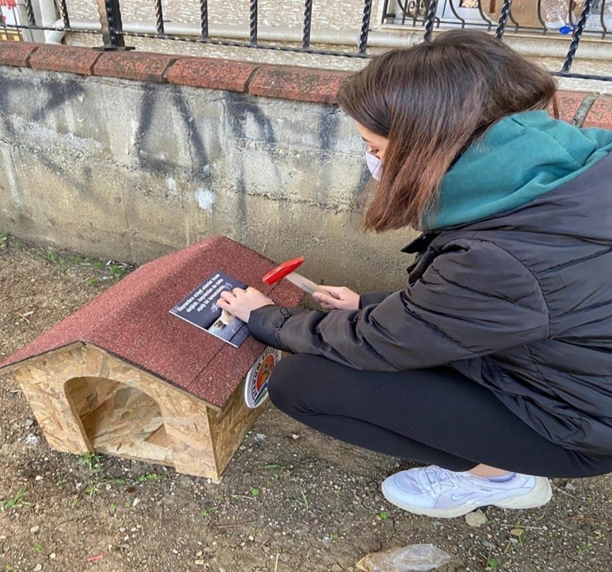 &Ouml;ğrencilerden &ldquo;Kedi Park Projesi"