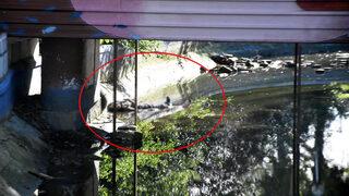 Evsiz adam fuar alanındaki gölette ölü bulundu