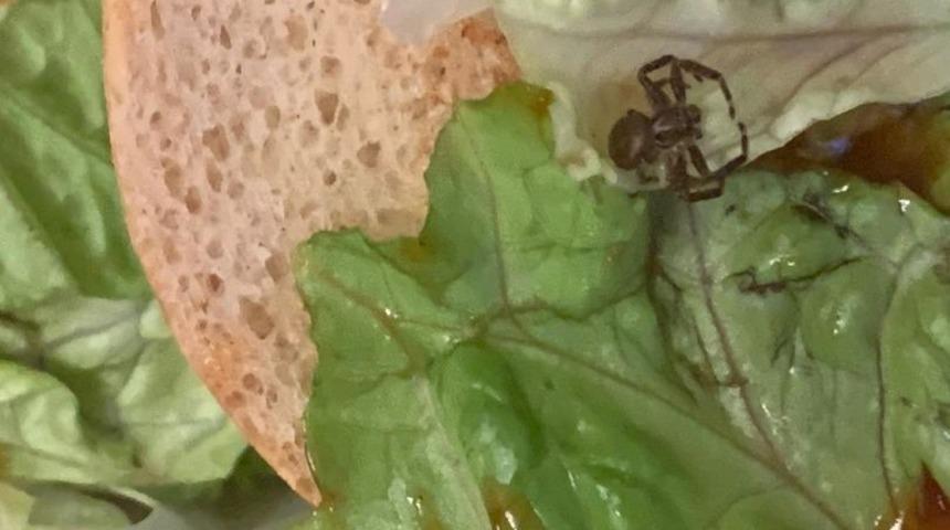 Araknofobiğin hamburgerinden örümcek çıktı!