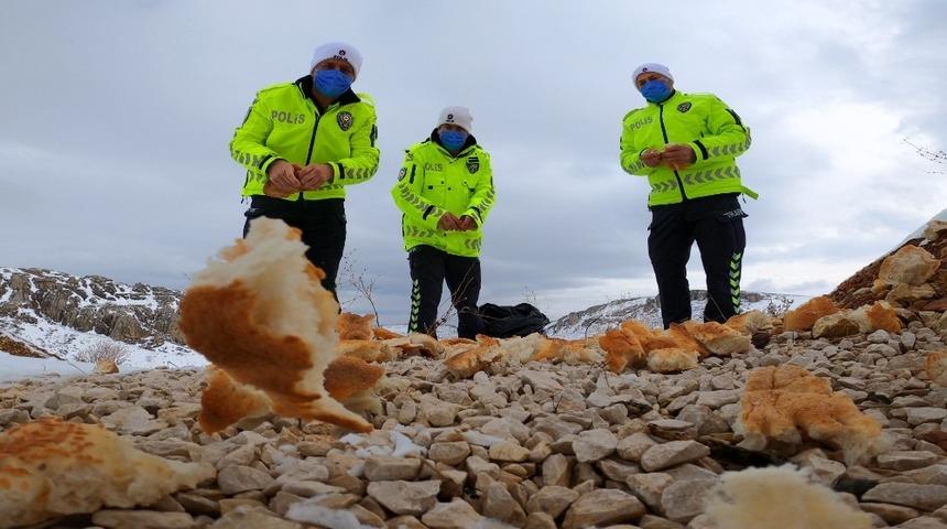 Trafik polisleri hayvanlar i&ccedil;in doğaya yem bıraktı