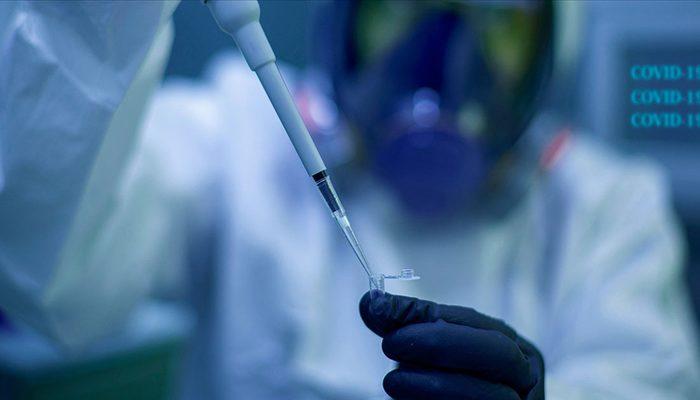Son Dakika: Sinovac aşısının Türkiye'deki faz-3 sonuçları açıklandı
