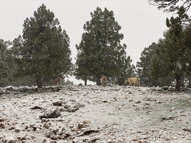 Antalya'nın Kaş ilçesinde yüksek kesimler beyaza büründü G2