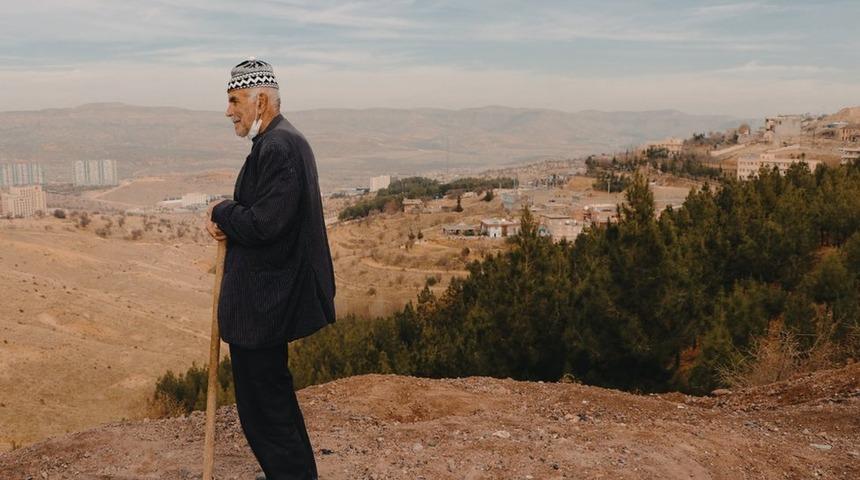 Tek başına bir orman kurmak: Mardin'de 11 bin ağaç diken 'Şeyhmus Amca'nın hikayesi