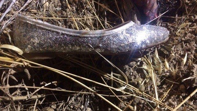 70 bin karede sır dolu cinayetin faili aranıyor