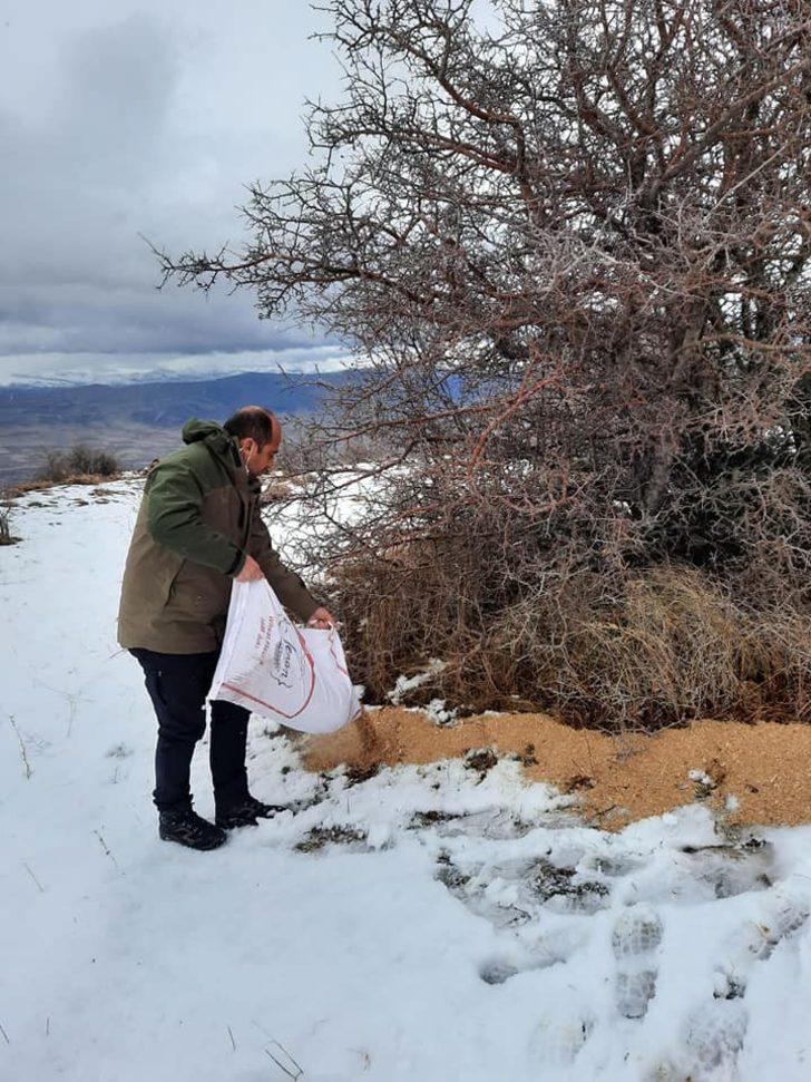 Sivas’ta usulsüz av yapan 9 avcıya 15 bin TL ceza G4