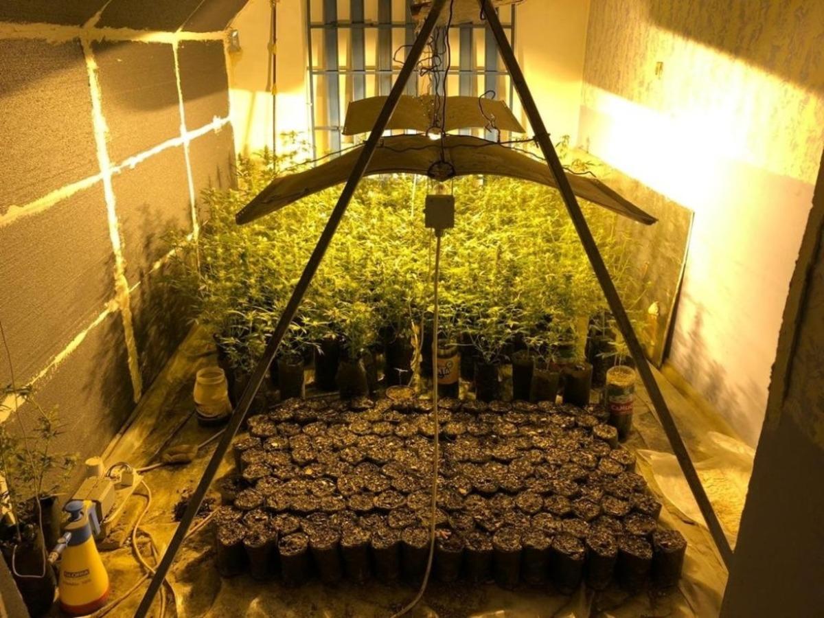 Evine kurduğu uyuşturucu tarlasını g&uuml;neş panelleriyle ısıtmış