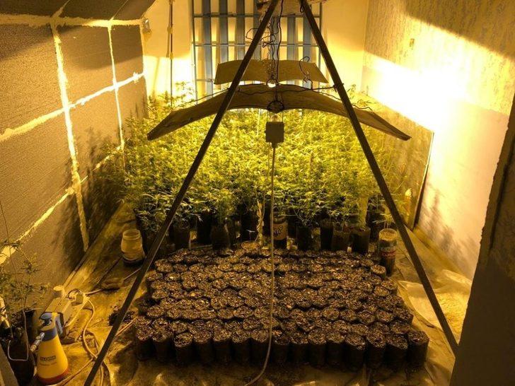 Evine kurduğu uyuşturucu tarlasını güneş panelleriyle ısıtmış G1