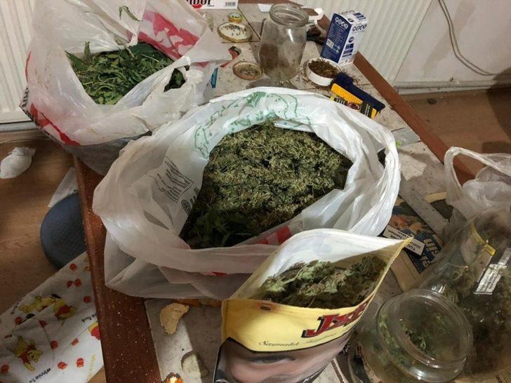 Evine kurduğu uyuşturucu tarlasını güneş panelleriyle ısıtmış G3