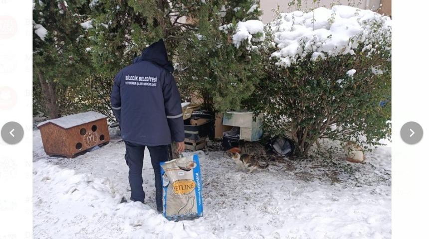 Soğuk ve karlı havalarda sokak hayvanları mamasız ve susuz bırakılmıyor