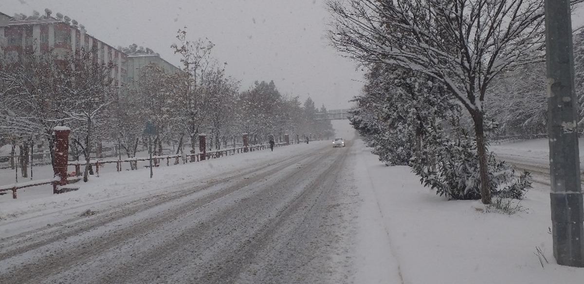 Besni beyaza b&uuml;r&uuml;nd&uuml;