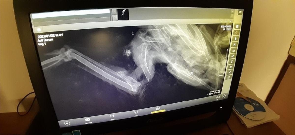 Kuşadası&rsquo;nda Atmaca seferberliği