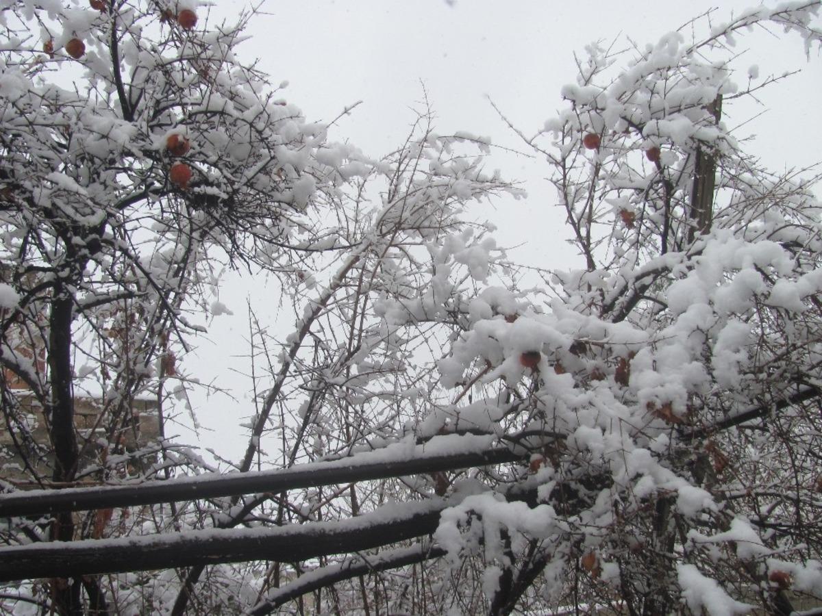 Araban&rsquo;da 4 yıl aradan sonra yoğun kar yağışı sevinci