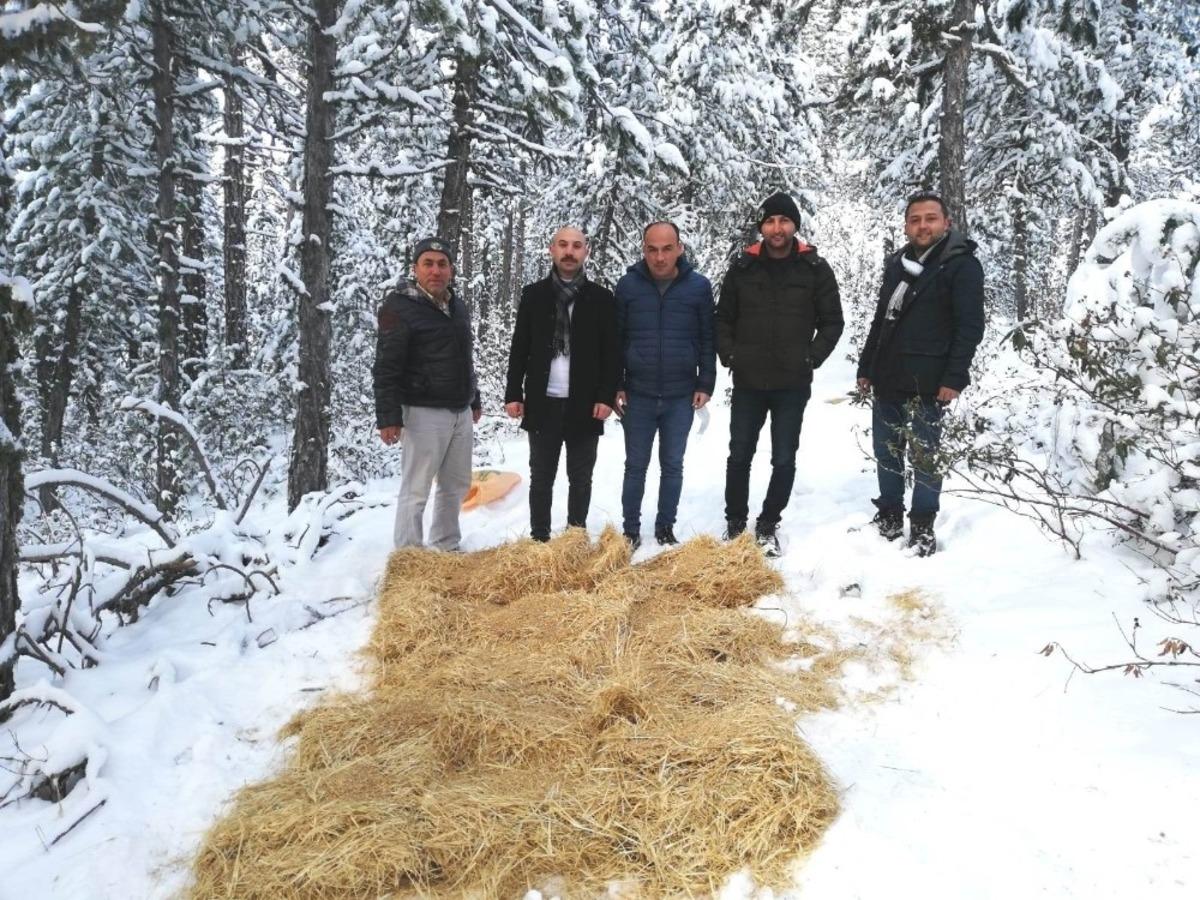 Hisarcık&rsquo;ta yaban hayvanları unutulmadı