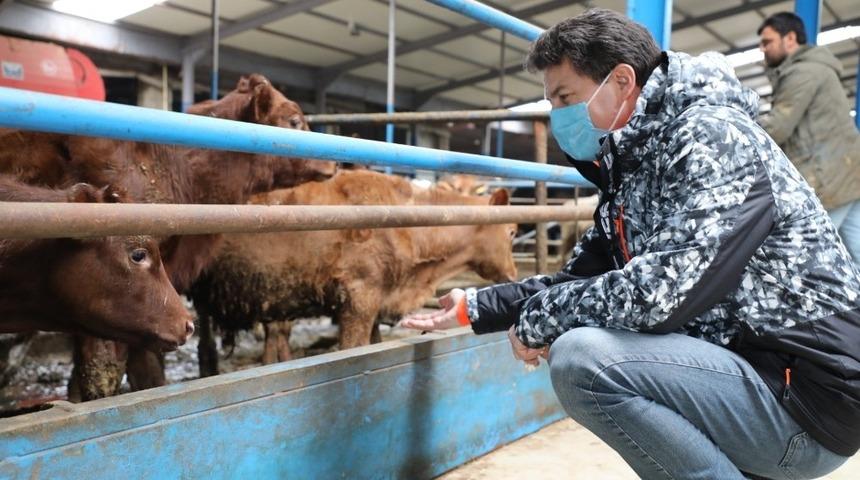 &rsquo;Bu destekleri ka&ccedil;ırmayın&rsquo; &ccedil;ağrısı