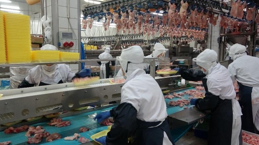 Gedik Pili&ccedil; pandemiye rağmen yatırımlarına devam ediyor