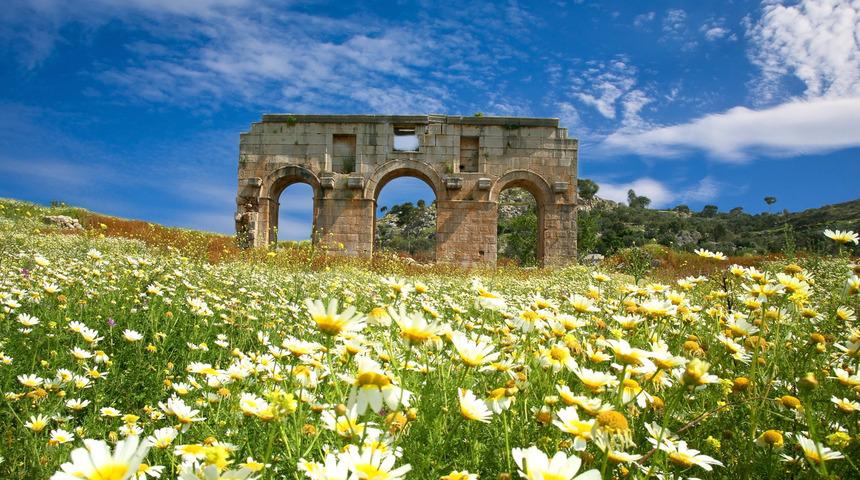Patara Antik Kenti nerede, hangi ilimizde? Patara Antik Kenti tarihi, hikayesi - Patara Antik Kenti giriş ücreti 2021