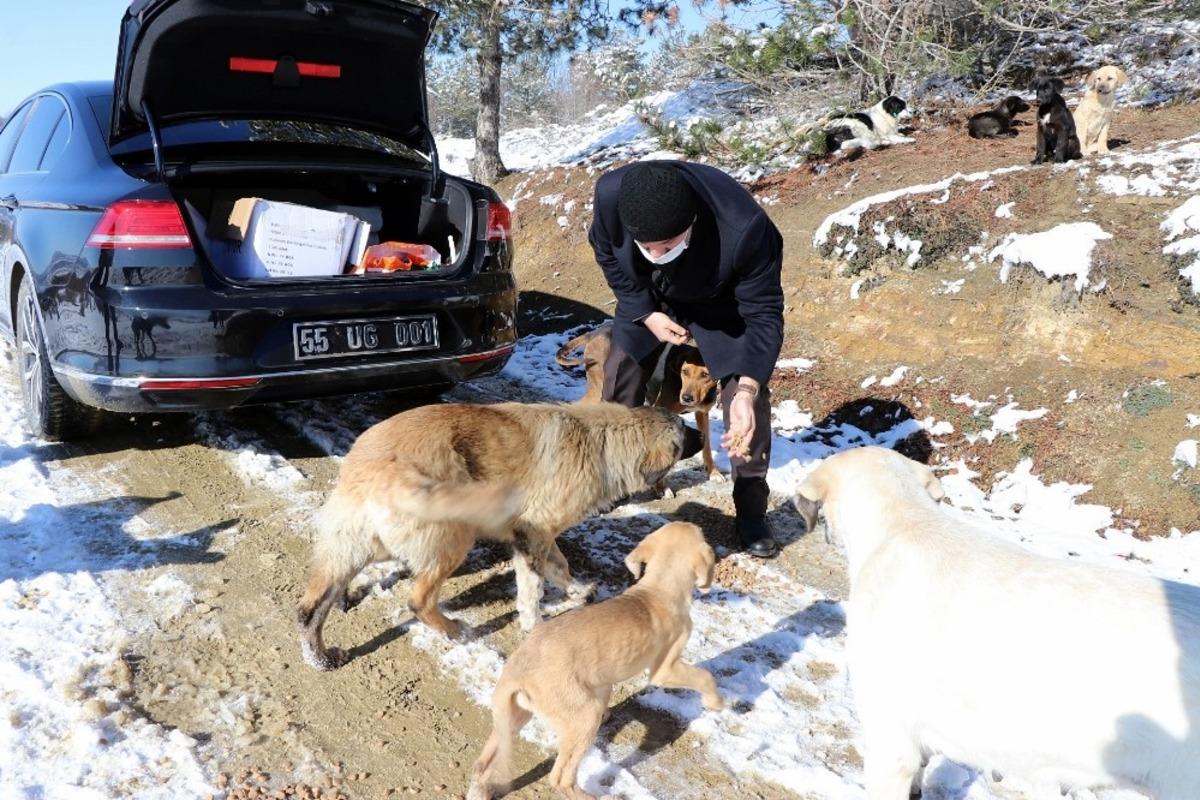 Kavak&rsquo;ta can dostlar unutulmadı