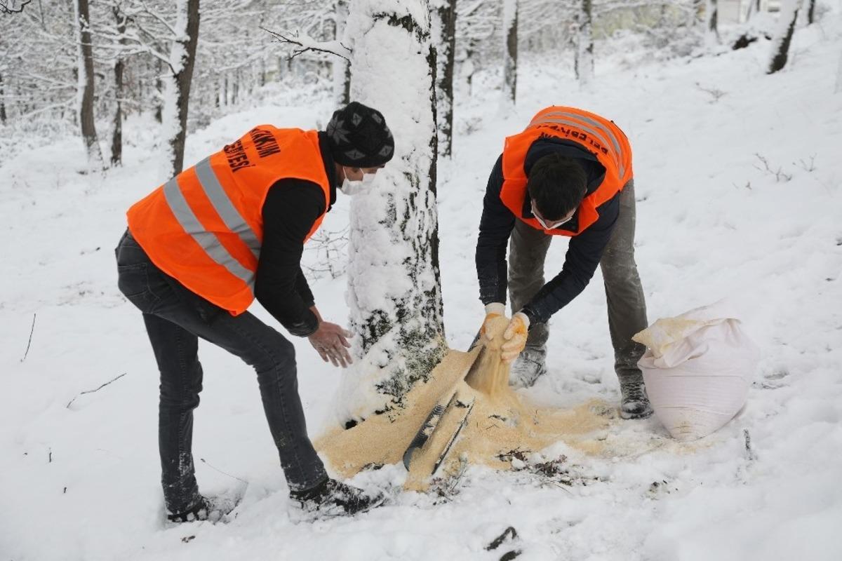Atakum&rsquo;dan 42 farklı noktada kuşlara yem