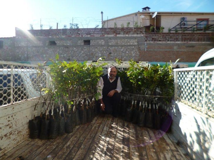 Manisa’da üreticilere yüzde 75 hibeli fidan desteği G4