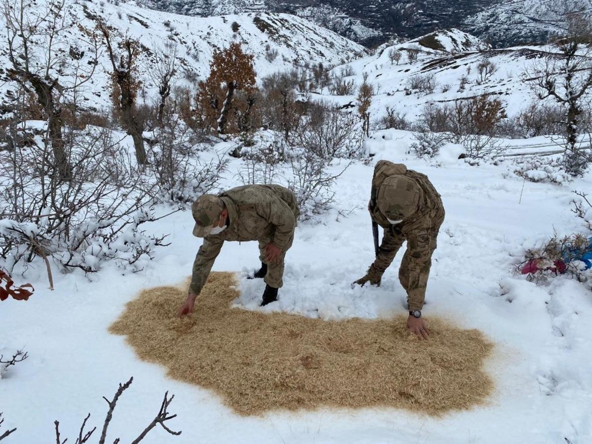 Jandarma yaban hayvanlarını unutmadı