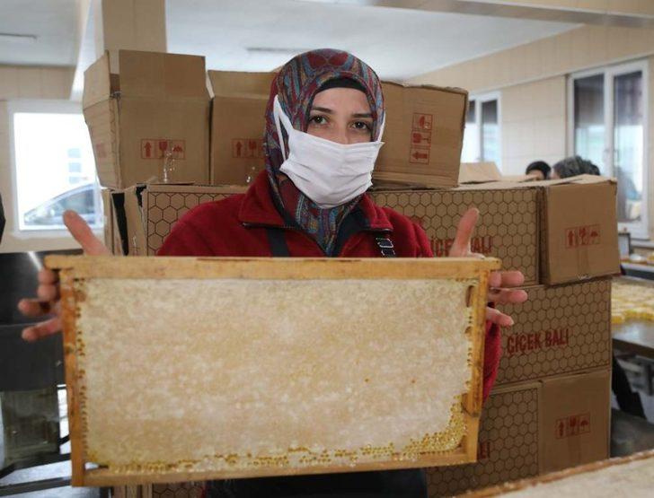 Vali Ayhan: "Çiçek balı üretiminde Türkiye’de 1’nci sıradayız" G3