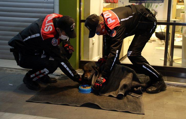 Uşak'ta polis ekipleri bazı sokak hayvanlarını battaniyeye sardı G2