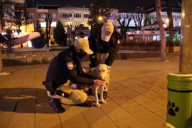 Uşak'ta polis ekipleri bazı sokak hayvanlarını battaniyeye sardı G4