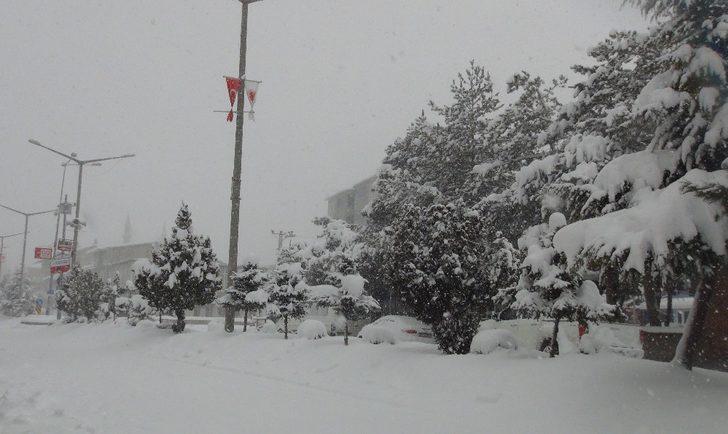 Ahlat’ta kar ve tipi esareti G4