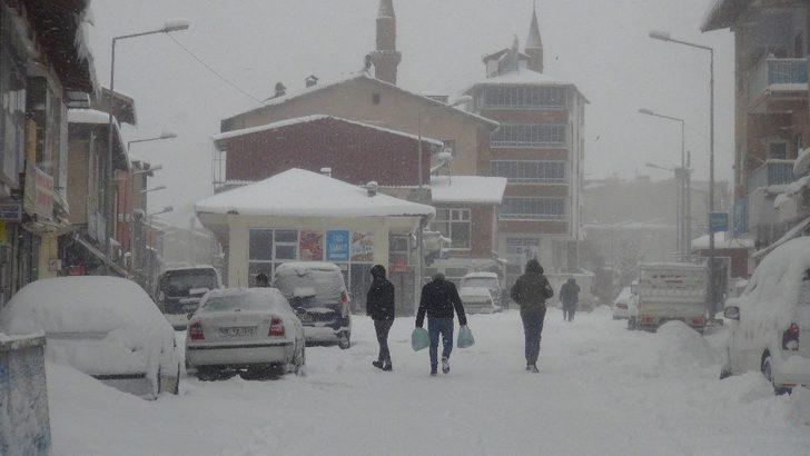 Ahlat’ta kar ve tipi esareti G5