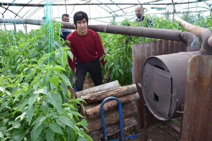 Antalya’da üreticinin meşakkatli don nöbeti G1