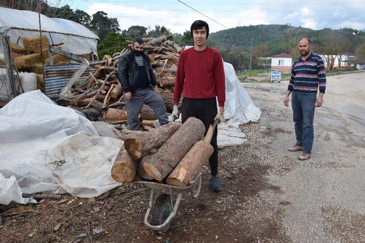 Antalya’da üreticinin meşakkatli don nöbeti G5