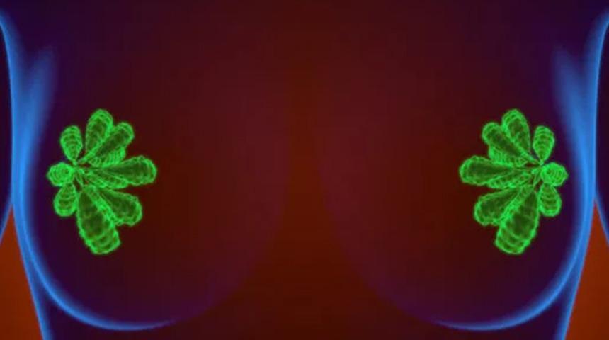 Prof. Dr. Fuat Demirkıran: Meme kanserinde erken tanı oranı y&uuml;zde 50 azaldı