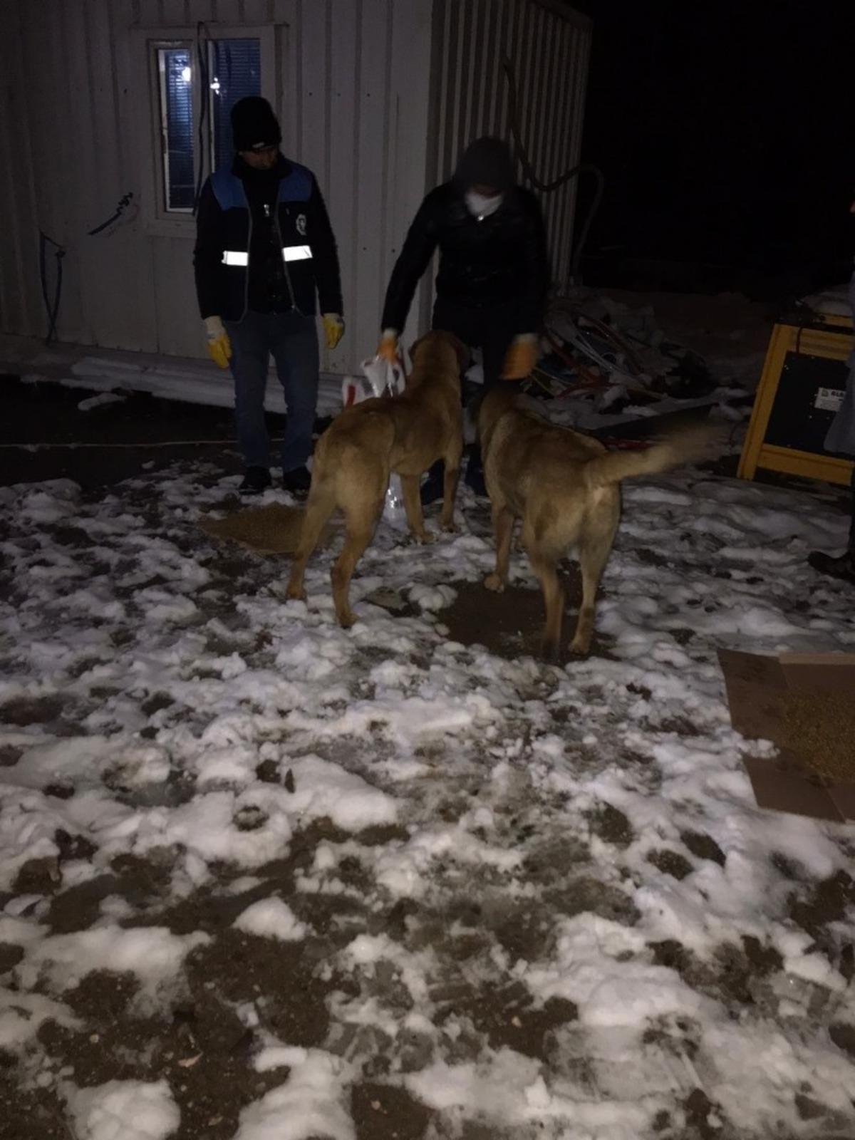 Donmak &uuml;zere olan k&ouml;pek ve yavrularını Diyarbakır B&uuml;y&uuml;kşehir Belediyesi ekipleri kurtardı