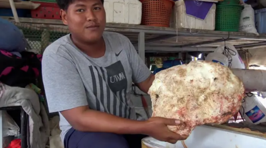 Balık&ccedil;ının bulduğu balina kusmuğu 1 milyon 740 bin TL değerinde