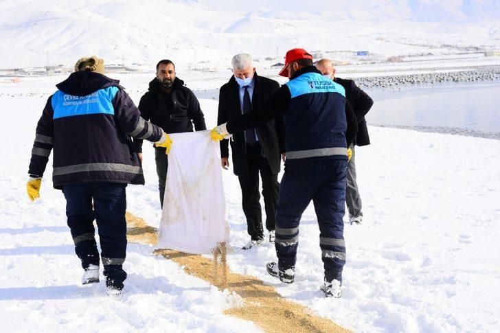 Tuşba Belediyesi yaban hayvanları için doğaya yem bıraktı G2