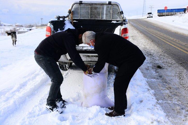 Tuşba Belediyesi yaban hayvanları için doğaya yem bıraktı G3