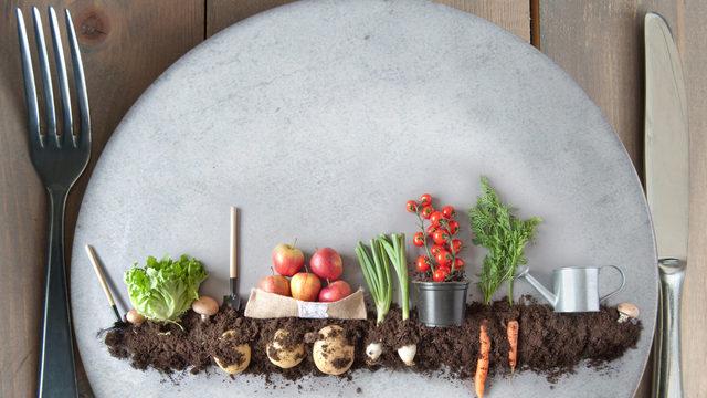 Vegan beslenme nedir? Vegan beslenme zararları ve yararları nelerdir?