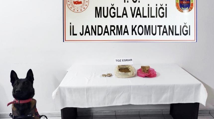 Jandarmadan Bodrum&rsquo;da uyuşturucu operasyonu