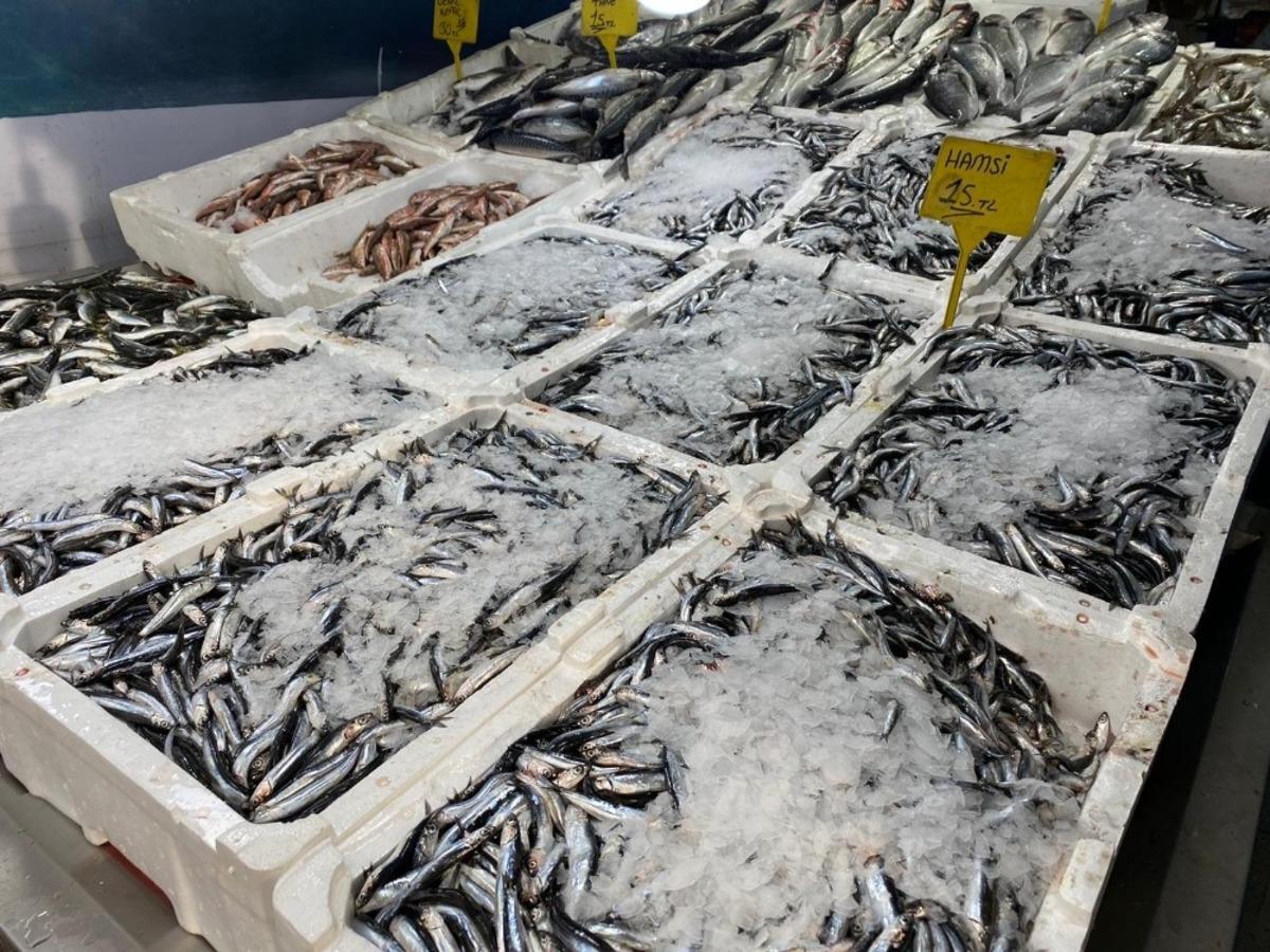 Ordu&rsquo;da buzhane hamsi 15 TL