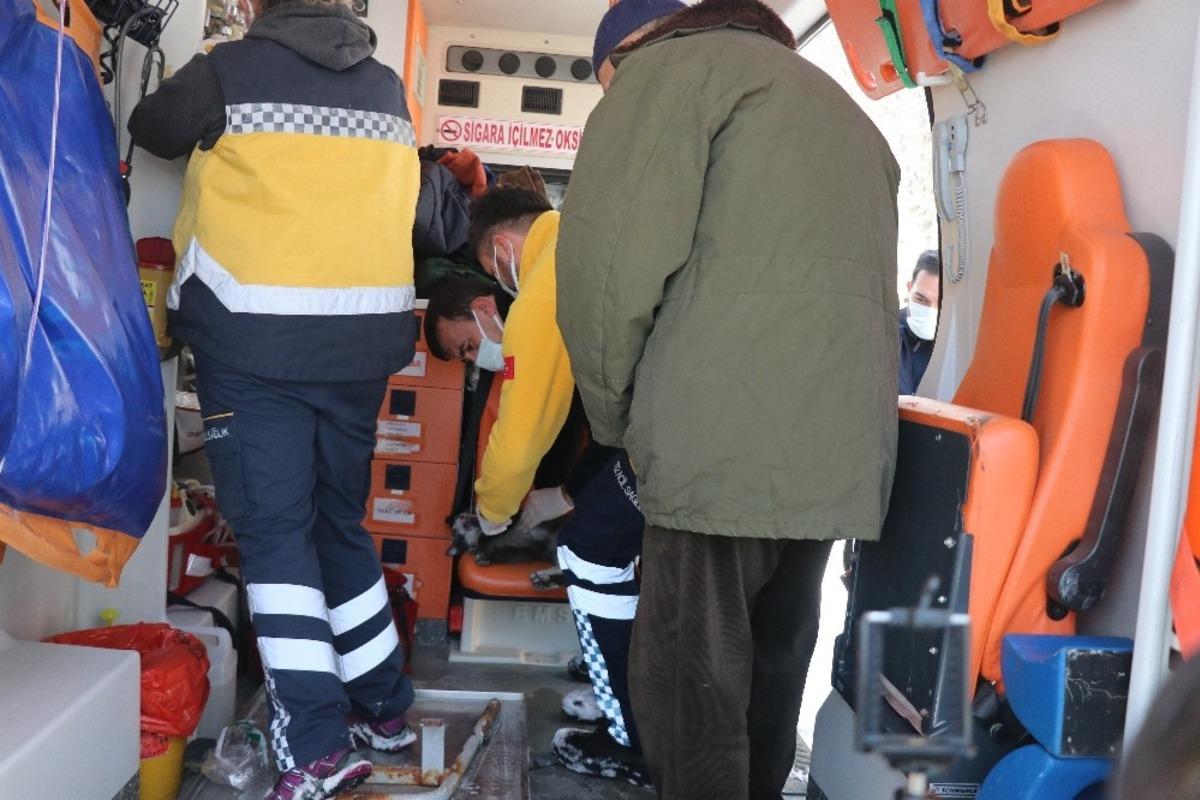Bolu&rsquo;da yanan evden kurtarılan kediye ambulansta kalp masajı