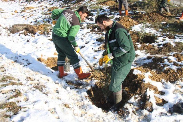 Kocaeli’nde kişi başına düşen yeşil alan miktarı 12,57 metrekare oldu