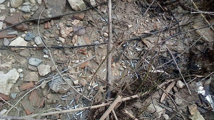 Balıkları kurtarmak için seferber oldular G2