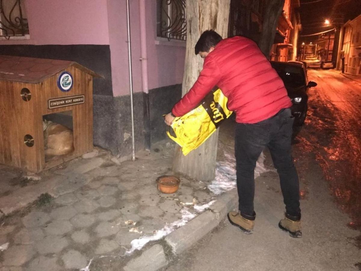 Eskişehir G&ouml;n&uuml;ll&uuml;leri platformu &uuml;yeleri sokak hayvanların yardımına yetişti