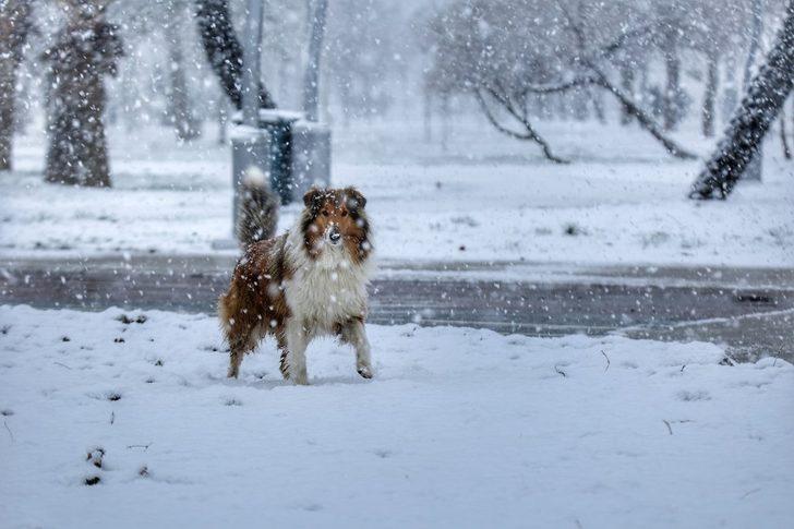 Ordu’da kar yağışından kartpostallık manzaralar G4