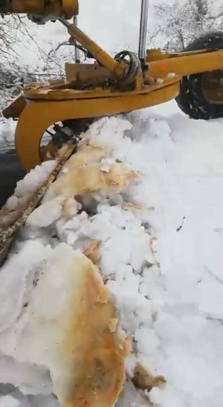 Gercüş’te kar yağışı hayatı durma noktasına getirdi G4